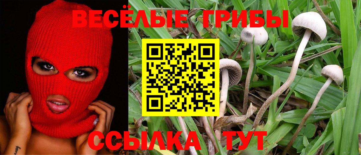 Галлюциногенные грибы Magic Shrooms Кудымкар