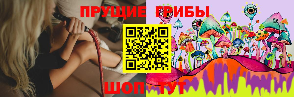 Кудымкар  Галлюциногенные грибы MAGIC MUSHROOMS  Вход с VPN 